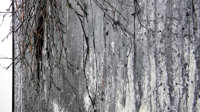 Intrinsic Winter - Detail3