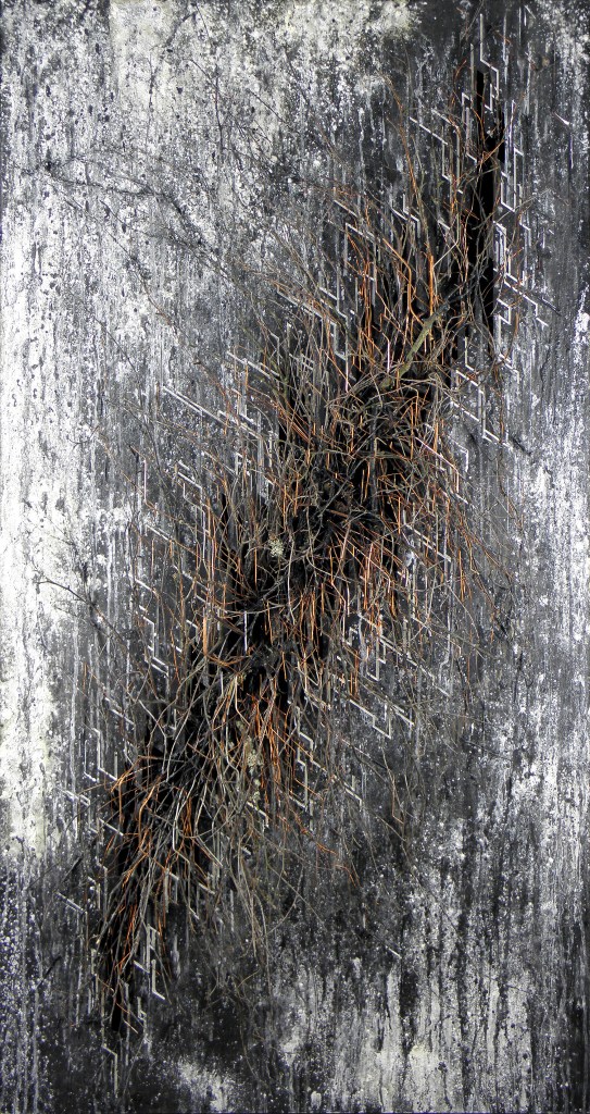 Intrinsic Winter - 2015