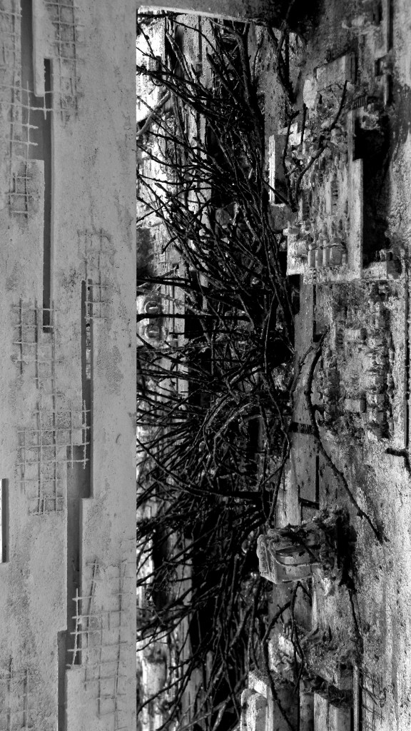 How Long Can Winter Color Your Every Word? - Detail3