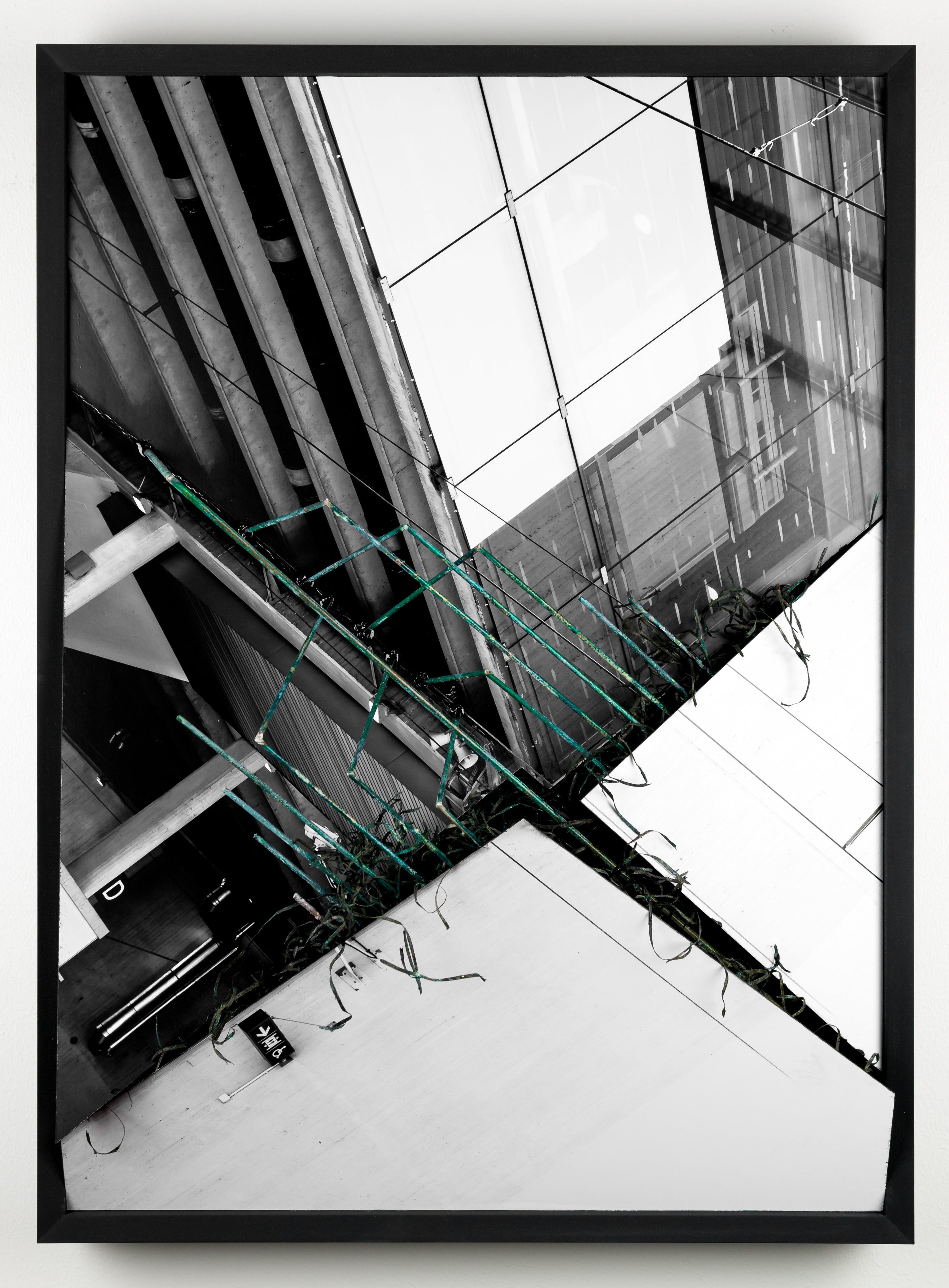 Enclose Surrender - 2016