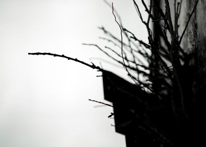 There's Nowhere Left To Hide - Detail4