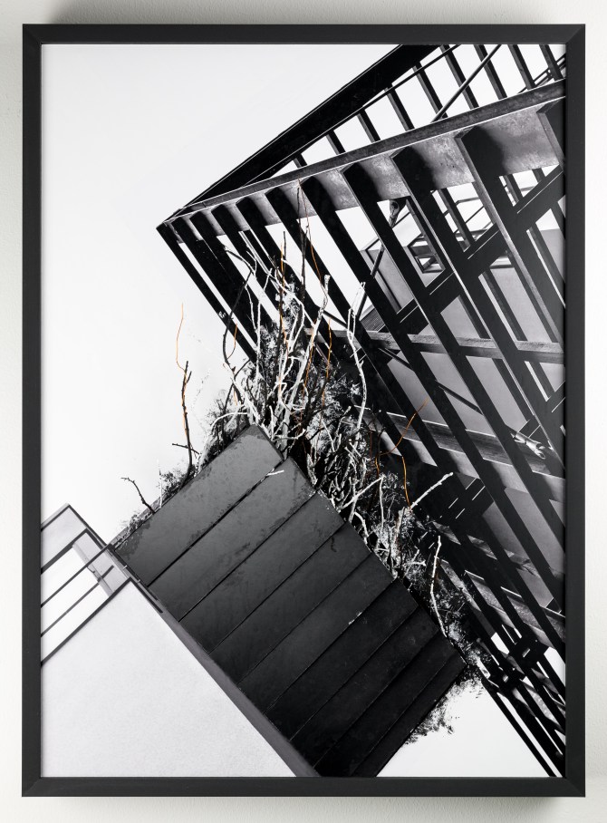 There's Nowhere Left To Hide - 2016